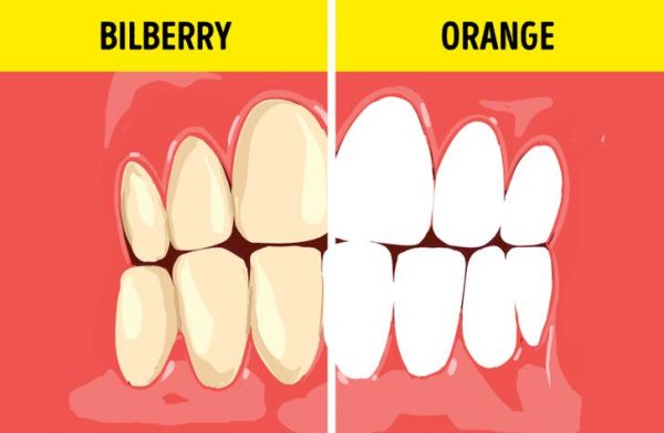 What Foods We Need to Eat to Keep Our Teeth Healthy and ...