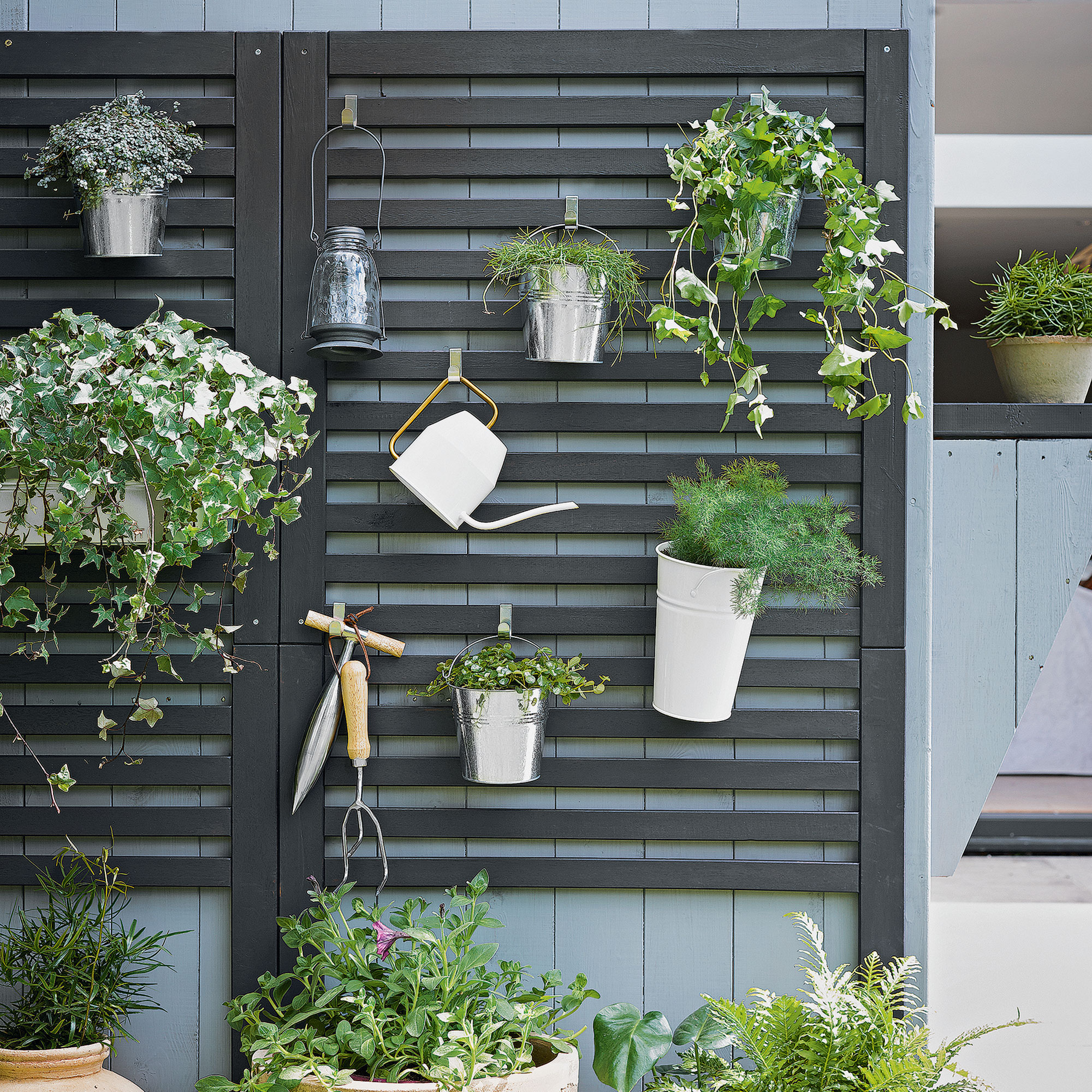 Black painted trellis with plants and gardening tools