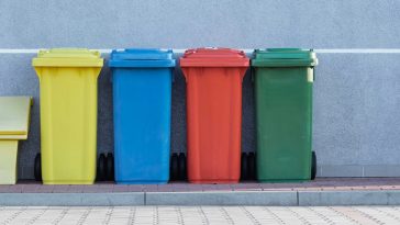 Nachhaltiger Konsum im Alltag: Wie du mit kleinen Änderungen die Umwelt schonst und gleichzeitig Geld sparst
