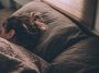Besser schlafen als Frau: Warum Frauen schlechter schlafen als Maenner, was Hormone damit zu tun haben und welche Routinen wirklich helfen