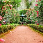 Kleines Gewaechshaus fuer Garten oder Balkon: Fuer wen es sich lohnt, was du darin anbauen kannst und welche Fehler Anfaenger machen