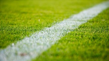 Oesterreich gegen Algerien HEUTE live: 22 Uhr, ORF, Kansas City – Achtelfinale oder Heimreise und di