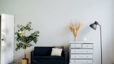 Raumklima verbessern: Wie du Luftfeuchtigkeit, Temperatur und Luftqualitaet optimierst und warum gutes Raumklima ueber Gesundheit und Wohlbefinden entscheidet