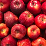 Warum werden meine Tomaten gelb? Die haeufigsten Krankheiten, Schaedlinge und Maengel bei Tomaten – und wie du jedes Problem loest