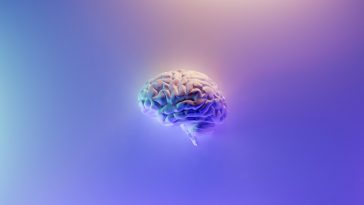 Trockene Augen durch Bildschirmarbeit: Warum du am Abend kaum noch die Augen offenhalten kannst und welche Tropfen, Uebungen und Gewohnheiten wirklich helfen