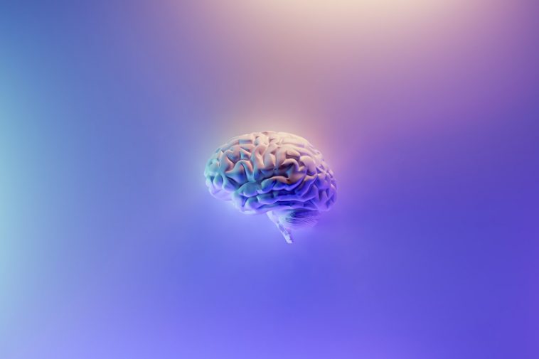 Trockene Augen durch Bildschirmarbeit: Warum du am Abend kaum noch die Augen offenhalten kannst und welche Tropfen, Uebungen und Gewohnheiten wirklich helfen