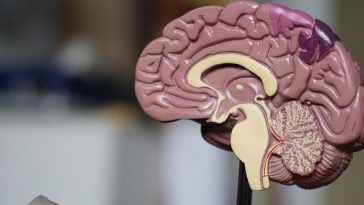 Unregelmaessiger Zyklus: Was normal ist, welche Ursachen dahinterstecken und wann du dringend zum Arzt musst