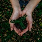 Dopamin-Detox: Warum dein Gehirn suechtig nach Likes, Snacks und Serien ist, was ein Reset bringt un