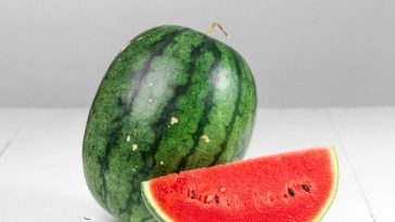 Brotdose für die Schule: 12 Ideen, die Kinder wirklich essen – und die morgens keine 10 Minuten kost