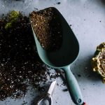 Garten im August: Was du jetzt noch säen kannst und im Herbst tatsächlich noch erntest