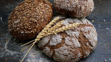 Zimmerpflanzen im Winter: Warum die meisten jetzt eingehen – und was du ab September ändern musst