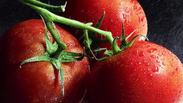 Zucchini-Schwemme im August: 9 Ideen, damit nichts verdirbt – von einfrieren bis Zucchini-Kuchen